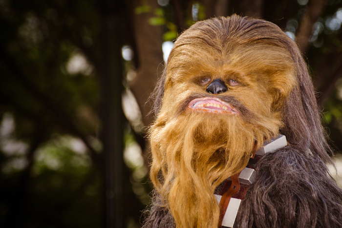 Kohl's Chewbacca Masks Sells