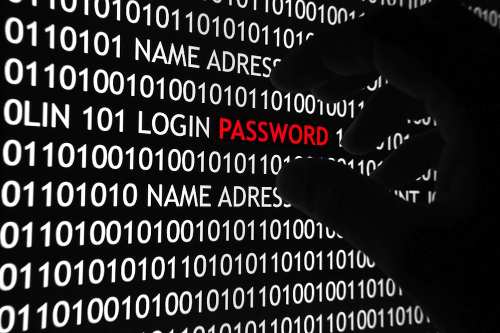 reallifecams hack password