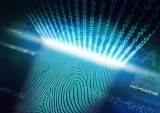 Payments Year Of Mobile Biometrics