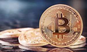bitcoin-daily-fraud