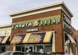 Panera Bread