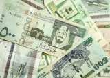 Saudi-Arabia-launches-payment-portal