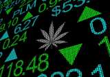 cannabis, weed, marijuana, legal, medicinal, market, public, stock, shares