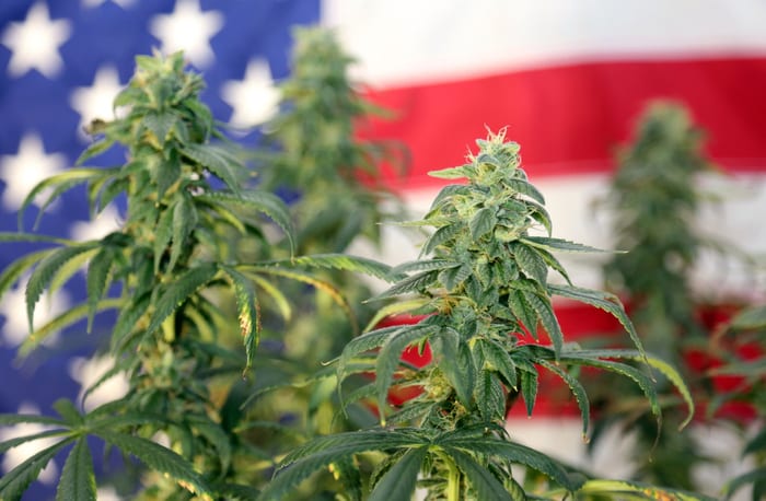 Regulators Detail Banking Rules For Hemp Firms