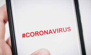 coronavirus-whatsapp-chatbot