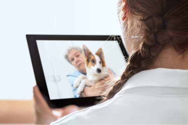 How Telemedicine Is Going To The Dogs