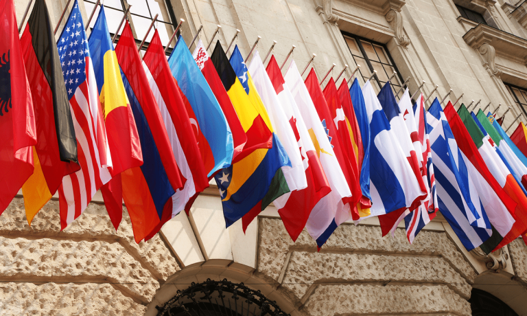 OECD flags