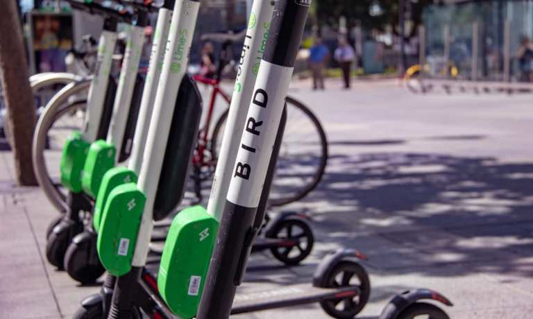 Bird scooters