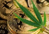 RocketFuel Opens Crypto One-Click Pay To Cannabis
