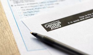 Census 2020, pandemic, stimulus checks, poverty