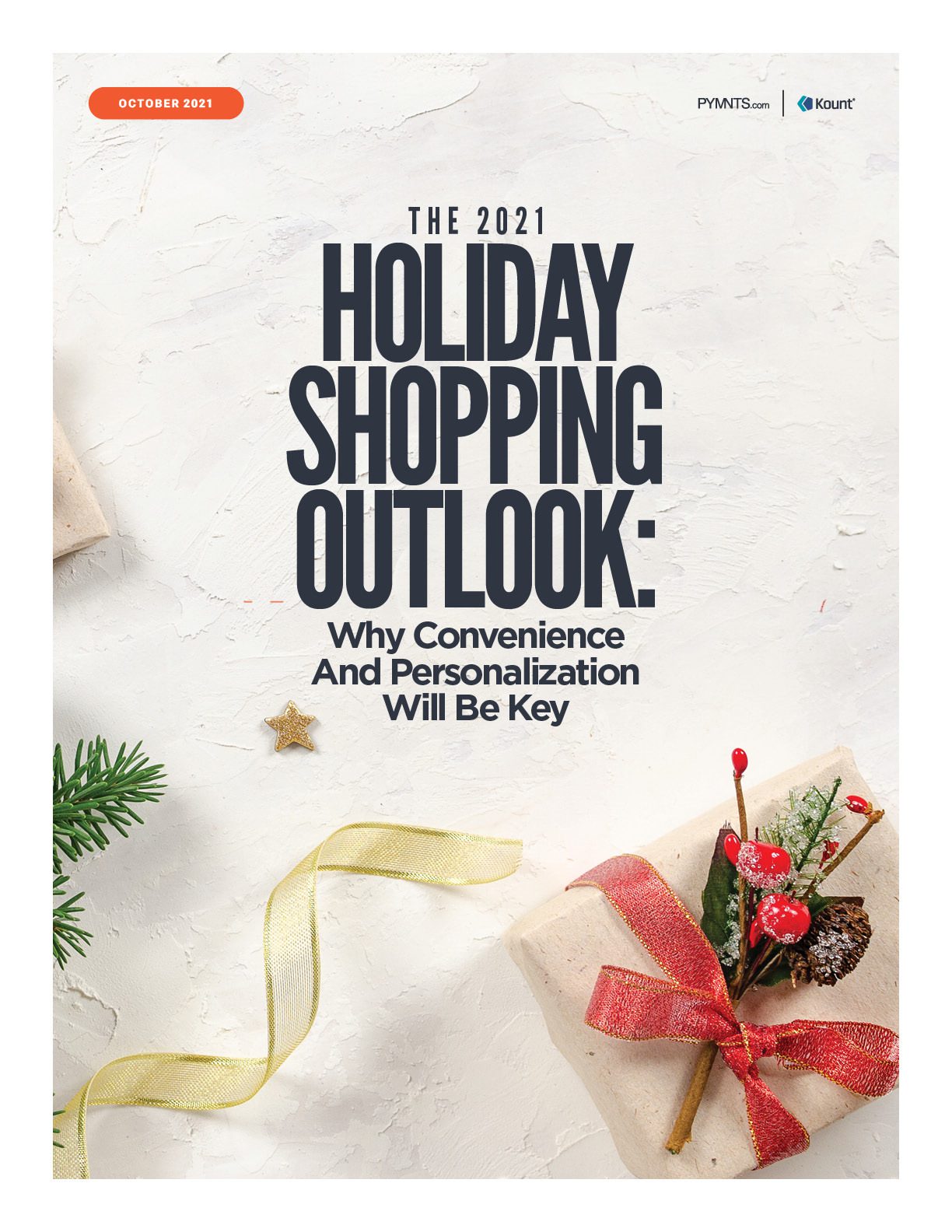 2021 Holiday Shopping Outlook | PYMNTS.com