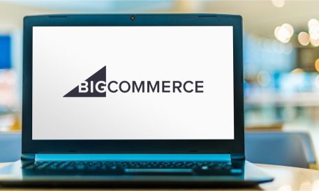 cdn10.bigcommerce.com/s-aanpe7u/products/392/image