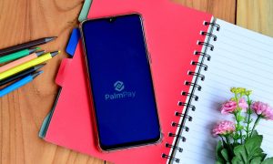 PalmPay Hits 10M Users in Nigeria