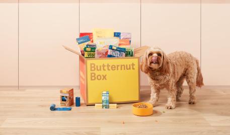 Pet subscription on sale box uk