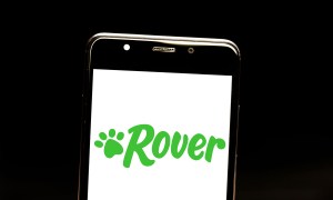 Rover pet care app