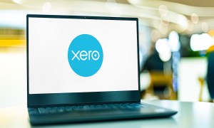 Xero, B2B payments