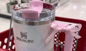 Fake stanly cup for 629｜TikTok Search