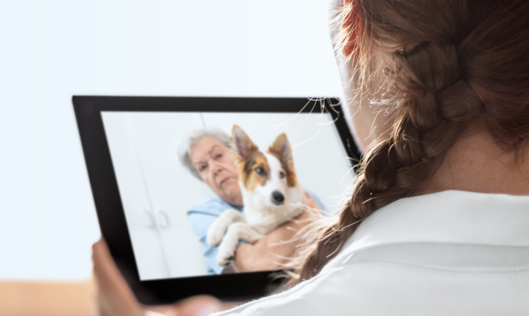 pet telehealth