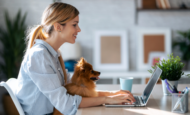 woman shopping online with dog
