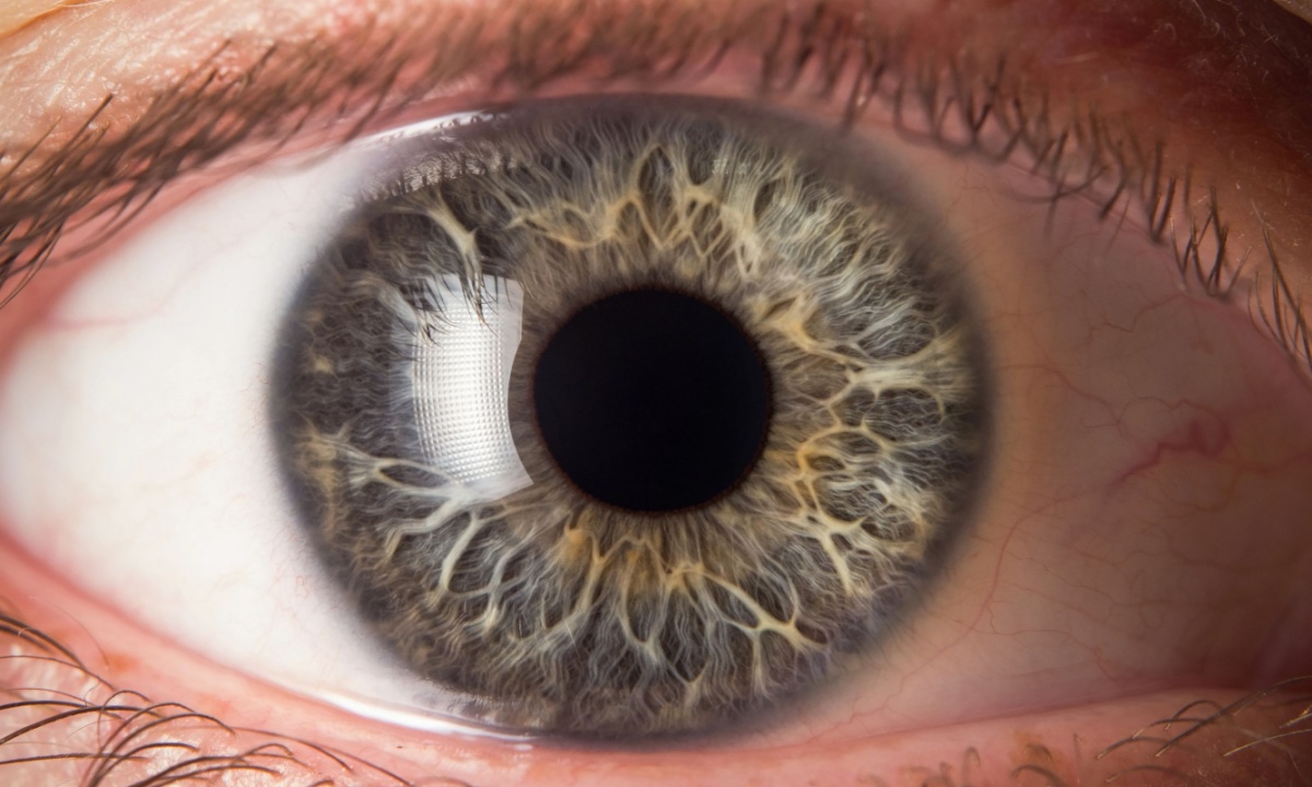 Worldcoin’s iris scanning technology faces resistance worldwide