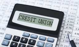 Fed Data Shows Credit Unions Making Gains With Cardholders and Non-Revolving Debt